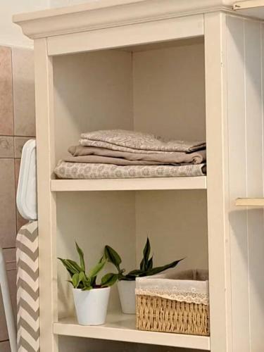 a shelf with two potted plants in a bathroom at Case Kiyas in Mamoudzou
