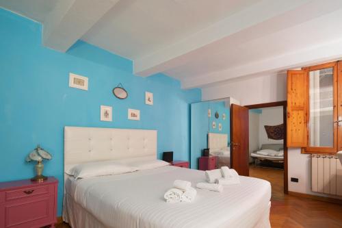 San Frediano Nest