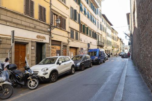 San Frediano Nest
