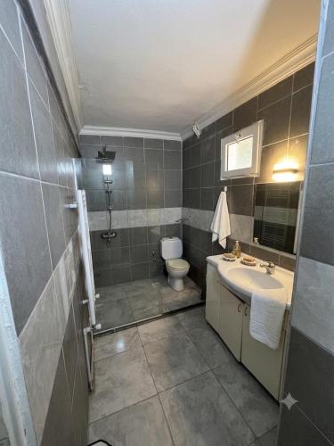 a bathroom with a toilet and a sink at Narçiçeği in Değirmendere
