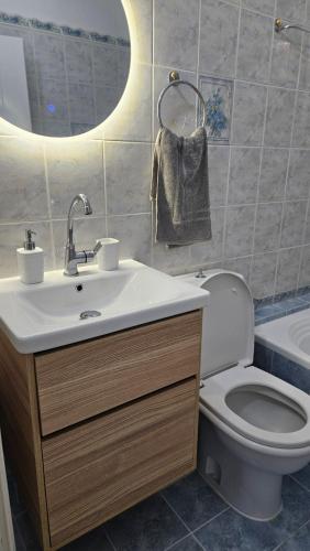 a bathroom with a sink and a toilet and a mirror at Κάρτ Ποστάλ Τρίκερι- Carte Postale Trikeri in Trikeri