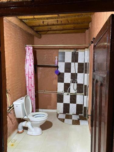 a bathroom with a toilet and a shower at Riad Espace Asrir Tiznit in Tiznit