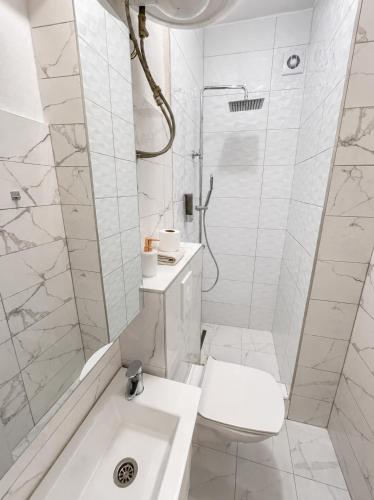 a white bathroom with a toilet and a shower at Banićević APARTMANI in Đenovići