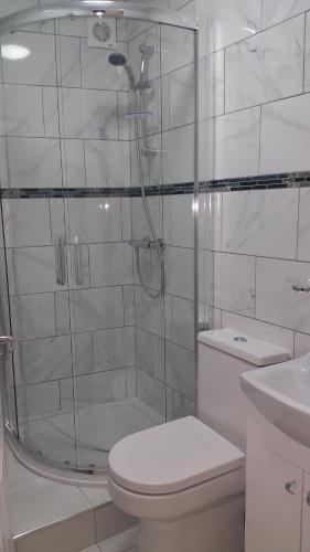 a bathroom with a shower and a toilet and a sink at Ali Inn Oxford in Oxford