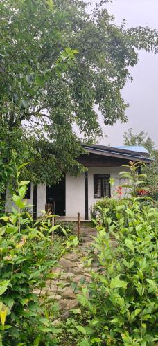 a small white house with a tree in front of it at Rimaaia homestay in Lāitlyngkot