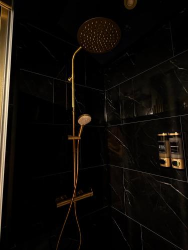 a shower in a bathroom with black tiles at Le grenier des sorciers in Balbigny