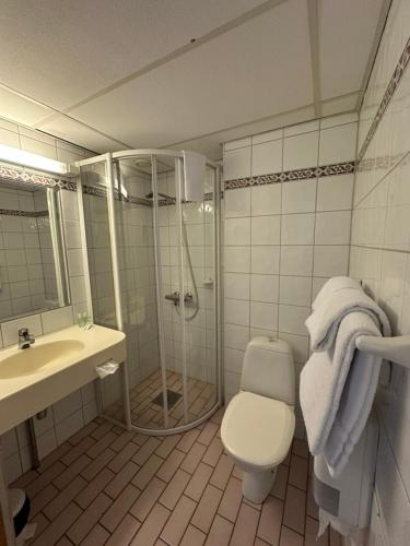 a bathroom with a shower and a toilet and a sink at Toten Hotel Sillongen in Eklund