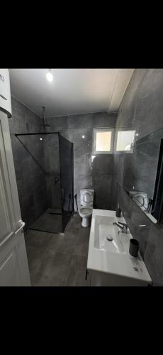 a bathroom with a shower and a sink and a toilet at Hotel Dalian in Baks-Rrjoll