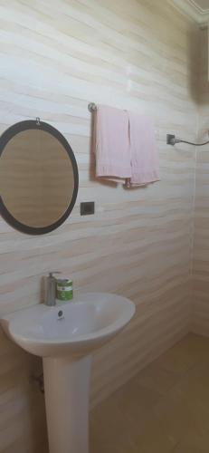 a bathroom with a white sink and a mirror at Bishoftu Bliss in Debre Zeyit