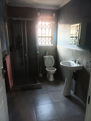 a bathroom with a toilet and a shower and a sink at Lifeshed Guest Home in Johannesburg