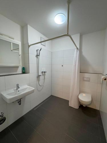 a bathroom with a shower and a sink and a toilet at Luxuriöse Apartment in Bochum