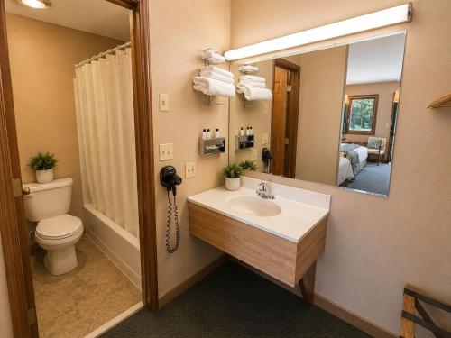 a bathroom with a sink and a toilet and a mirror at Alleghany Inn Blue Ridge in Sparta
