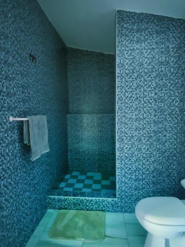 a bathroom with a shower and a sink and a toilet at Casa Velho 05 Rodrigues in Órgãos