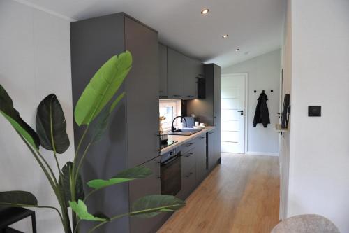 a kitchen with gray cabinets and a potted plant at Luxe Boshuisje Lodge Wildblick, adults only Haarle, Sallandse Heuvelrug in Haarle