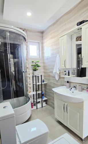 a bathroom with a shower and a toilet and a sink at Villa Imperial in Dobra Voda