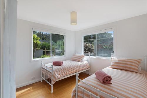 a white room with two beds and two windows at Wild Views in Tathra