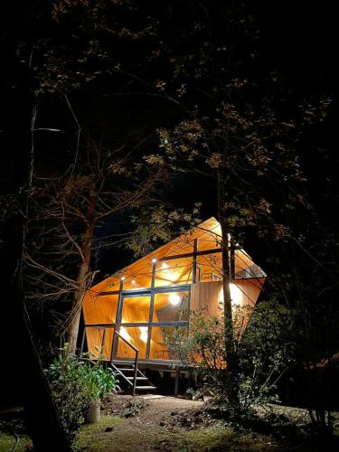 a glass house in the woods at night at Amanece en la naturaleza in Mazamitla