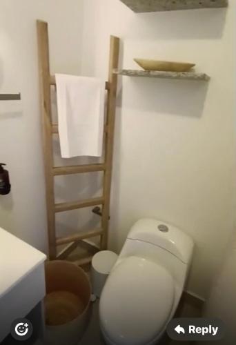 a bathroom with a toilet and a towel rack at Santa Martha-Apartment- Ocean view in Mirabel