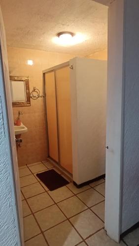 a bathroom with a shower stall and a sink at Posada del Jardín in Huasca de Ocampo