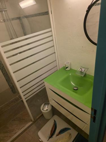 a bathroom with a green sink and a toilet at Bleu Caraïbe in Sainte-Anne