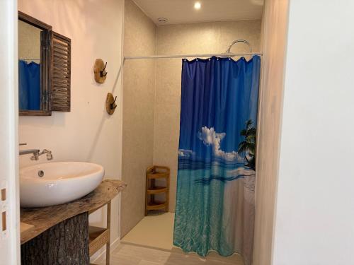 a bathroom with a sink and a shower curtain at L Effet Mer Cocon climatisé avec terrasse et jardin privés Piscine in Audenge