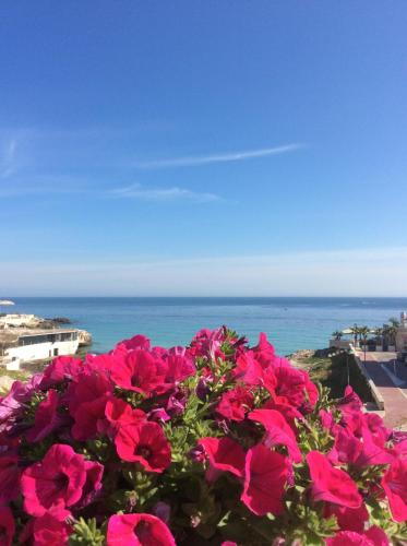 a bunch of pink flowers in front of the ocean at Bellariva Monopoli B&B e Relax in Monopoli