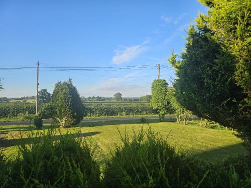 Blick auf ein Feld mit Bäumen und einer Straße in der Unterkunft The Schoolhouse Hotel in Swindon