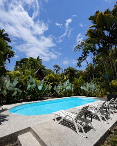 a swimming pool with lounge chairs next to a resort at Sloth Bungalows Manzanillo in Manzanillo