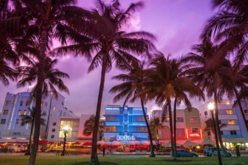 Lively Home near Downtown, stadium, Wynwood photo 40
