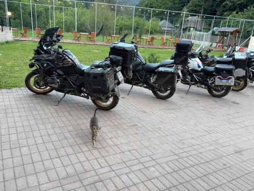 two motorcycles parked in a parking lot with a cat at Zan Hotel Voineasa in Voineasa