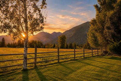a fence in front of a field with a tree at LeWeber Haus in Leavenworth