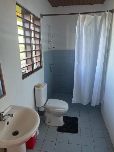 a bathroom with a white toilet and a sink at La maison jaune in Nosy Be