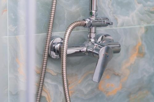a shower head with a hose in a bathroom at Pescariei Nr5 in Sarichioi