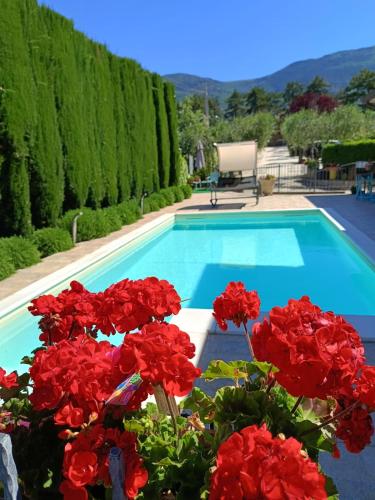 a swimming pool with red flowers in front of it at Residenza Cieloterra in Rivotorto