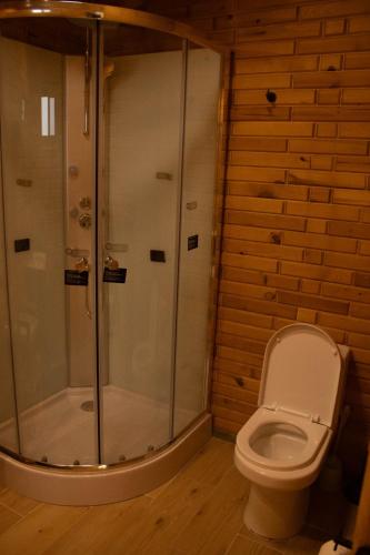 a bathroom with a shower and a toilet at Pinitos Old Ranch & Cabañas in El Cristal