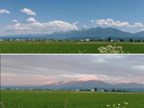 two pictures of a field with mountains in the background at Furano Cozy Whole House for 6 - Near lavender farm and Ski Resort - free parking in Nakafurano