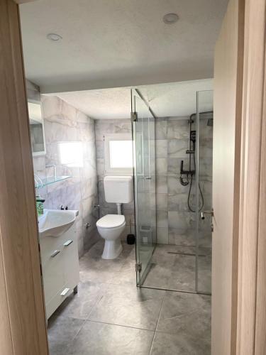 a bathroom with a shower and a toilet and a sink at Villa Eden Prijecani in Banja Luka