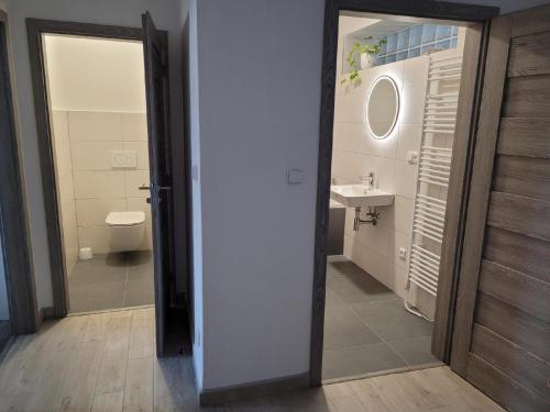 a bathroom with a sink and a toilet at Apartment u Ježků in Sebranice
