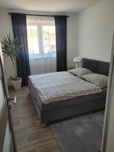 a bedroom with a bed in a room with a window at Apartment u Ježků in Sebranice