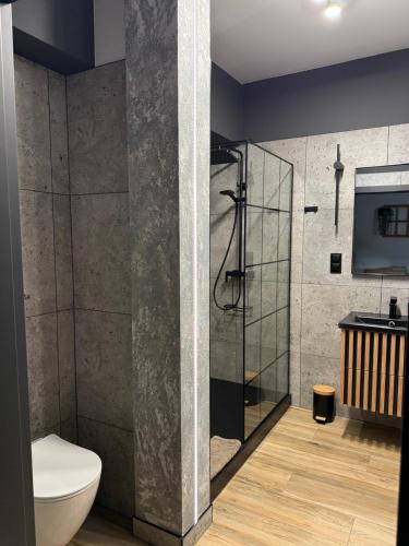 a bathroom with a shower with a toilet and a sink at Agroturystyka Myślinów - Black Horse Bar&Grill in Męcinka