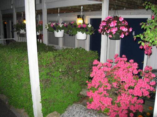 a group of flowers in hanging pots on a porch at Sea Whale Motel in Middletown