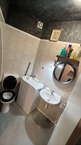 a small bathroom with a toilet and a sink at Parenzana Apartment in Portorož