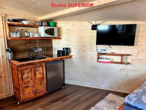 a kitchen with a sink and a tv on a wall at MK Apartment Karpaty in Zvončín