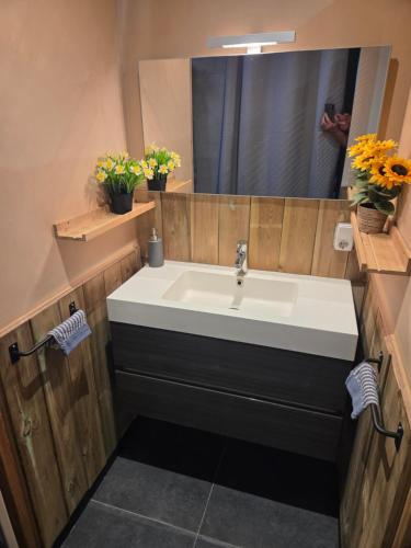 a bathroom with a sink and a mirror at Vakantiehuisje van Orten in Sint Annaland