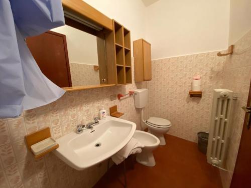 a bathroom with a sink and a toilet at Dormire a Valgoglio Baita della Diga in Valgoglio