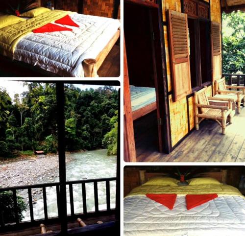 a collage of pictures of a room with a bed and a window at Sumatra Orangutan Tours Orangutan Trekking with Airport Pick Up Drop Off and Accommodation Trekking Required for All Bookings in Bukit Lawang