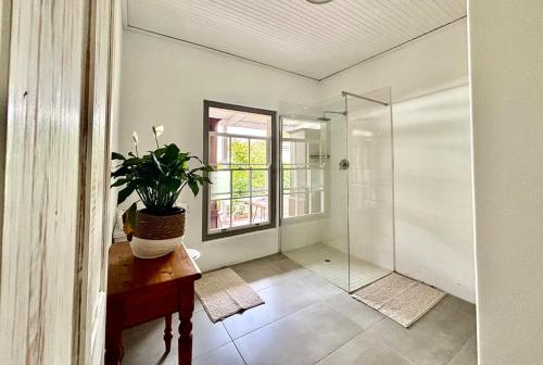 a bathroom with a shower and a potted plant on a table at Little Tara Cottage in Hermanus