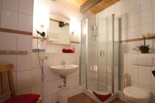 a bathroom with a shower and a sink and a toilet at Die Radler-Scheune in Burg