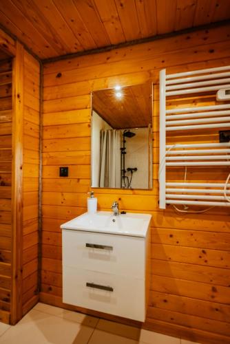 a bathroom with a white sink and a mirror at Stachowa Chata Guciów in Guciów
