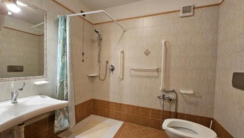 a bathroom with a shower and a toilet and a sink at Baita dei Pini in Campodolcino